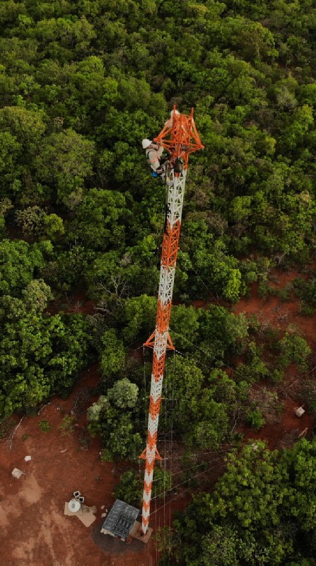 Imagem ilustrativa de Montagem de torre estaiada